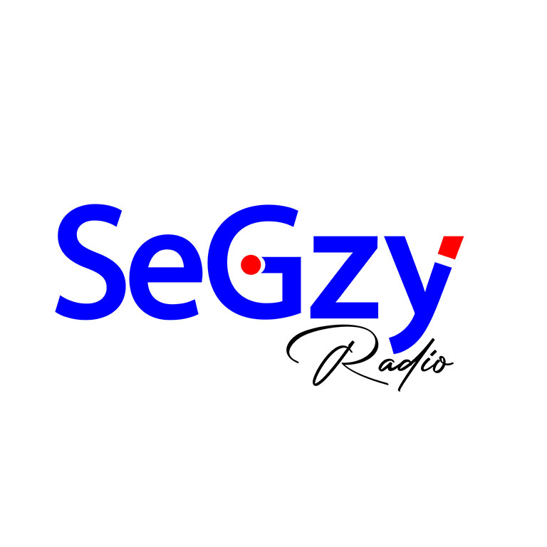 hedesigns-client-segzy